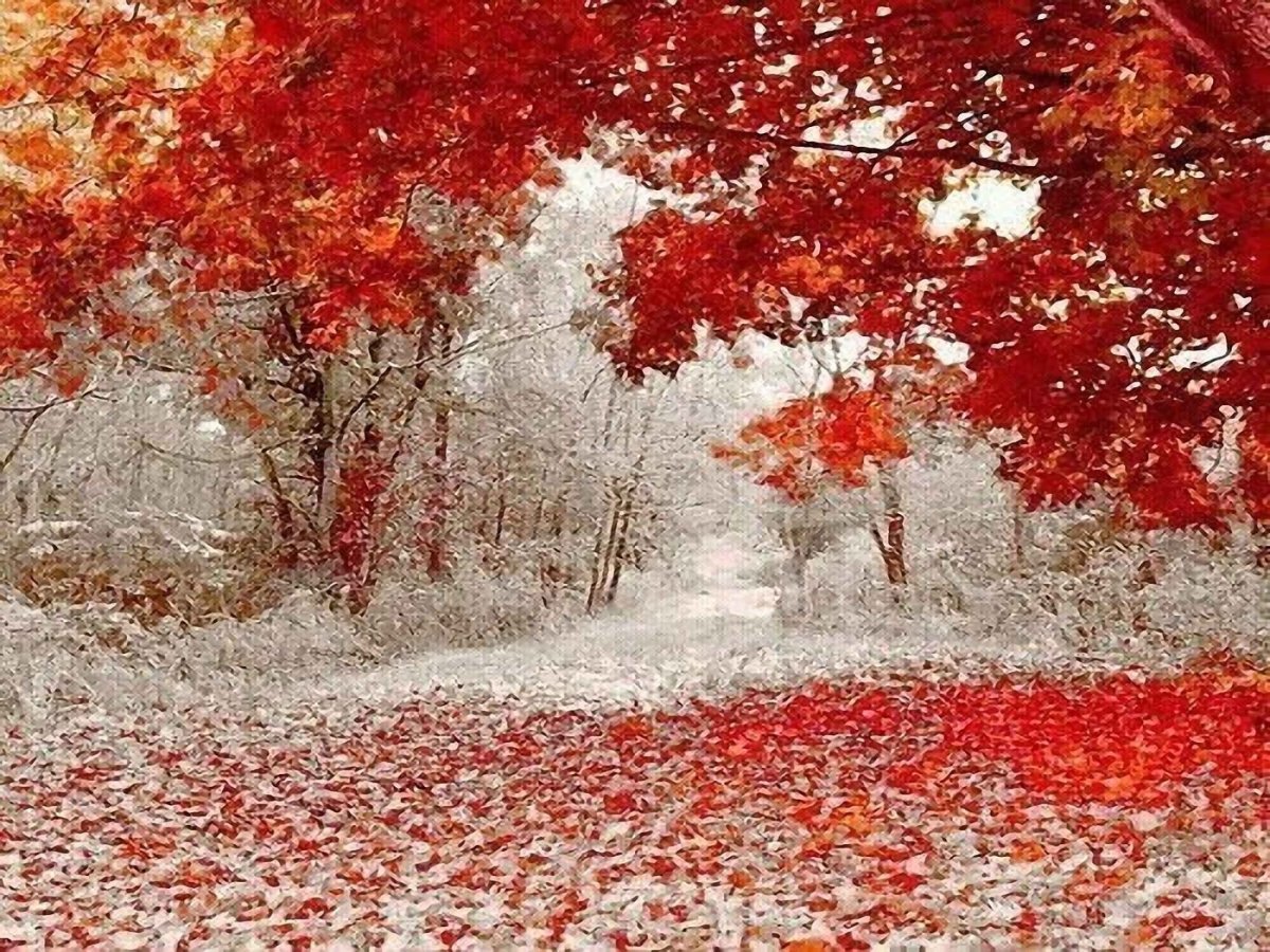 Картинки Первые Снежинки Осенью