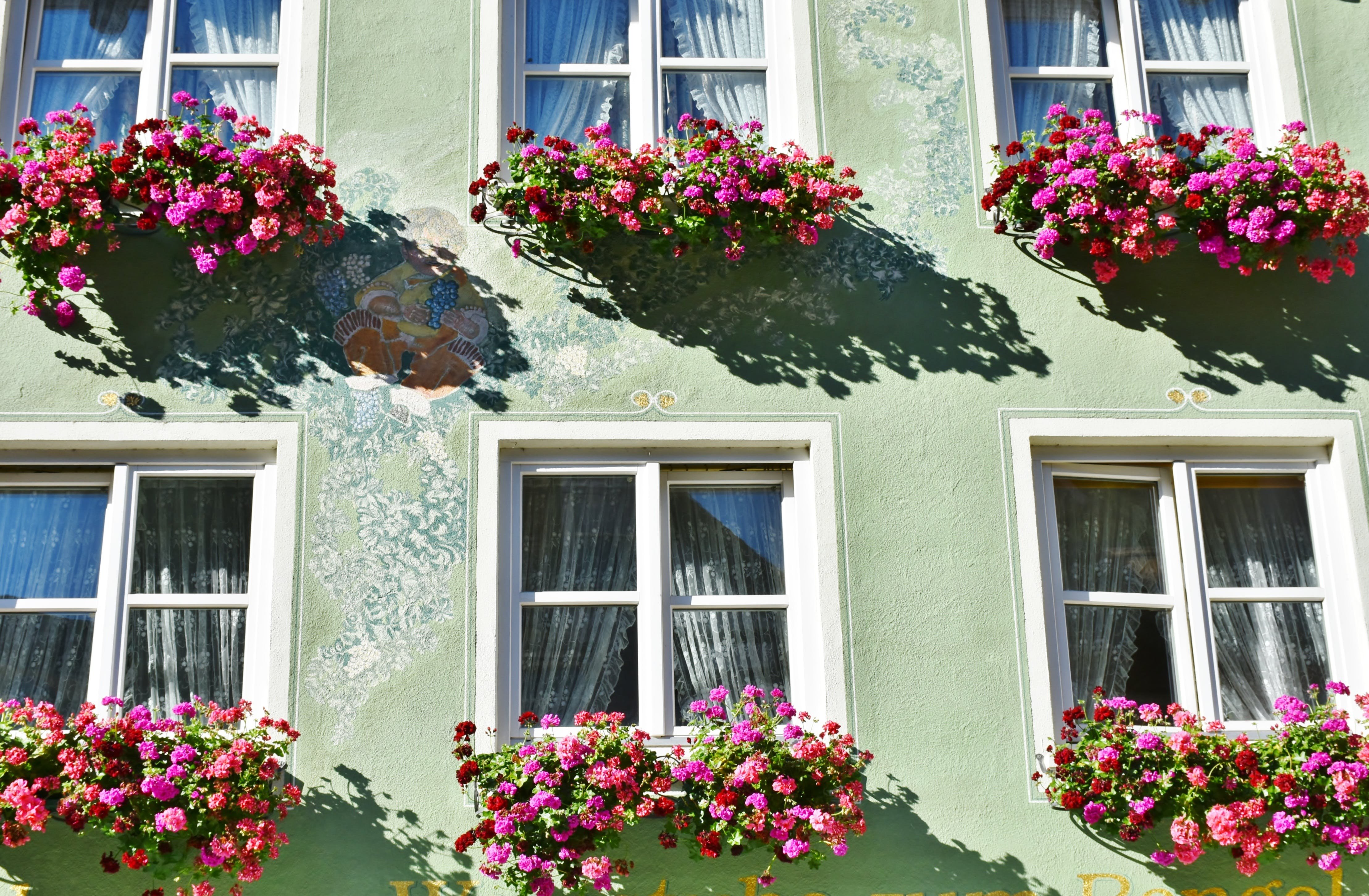 Как Украсить Окно Цветами