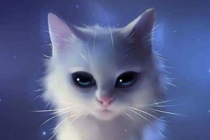 Котейка