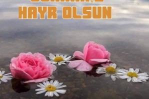 Хайрли кун