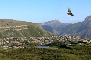 Тарки