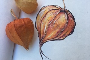 Поделка из физалиса