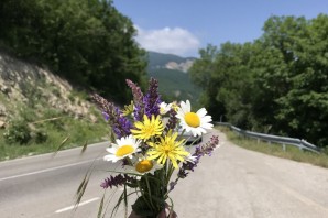 Грузинские цветы