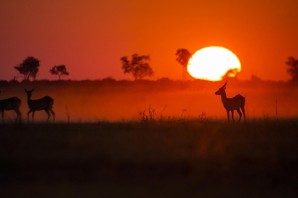 Солнце в африке