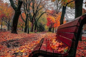 Осень грусть
