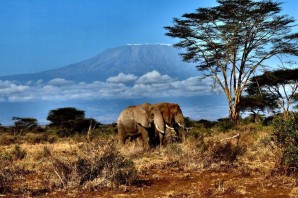 Килиманджаро африка