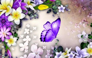 Картинки с цветочками и бабочками
