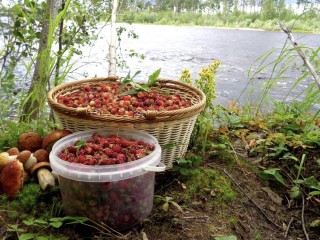 Ползуниха