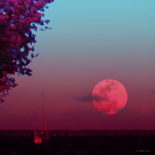Лунное небо