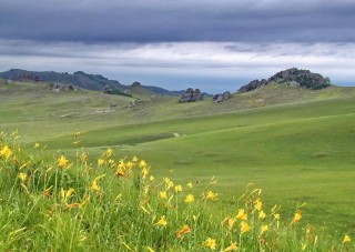 Ландшафты даурии
