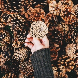 Хура