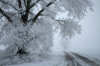 Буран метель