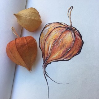 Поделка из физалиса