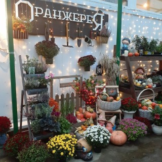 Цветы в тарусе
