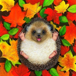 Осенний еж