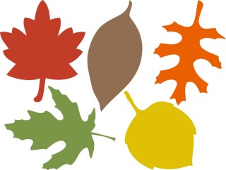 Шаблон осенние листья для аппликации