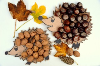 Осенняя поделка из орехов в садик