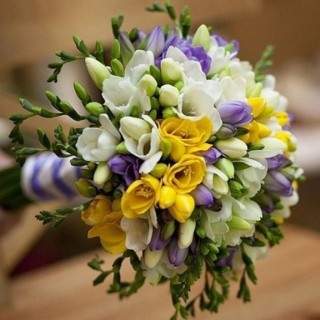 Фрезия букет