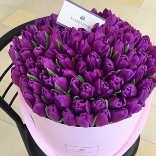 Фиолетовые цветы