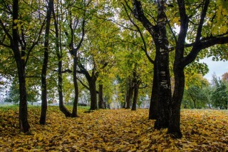 Болдинская осень