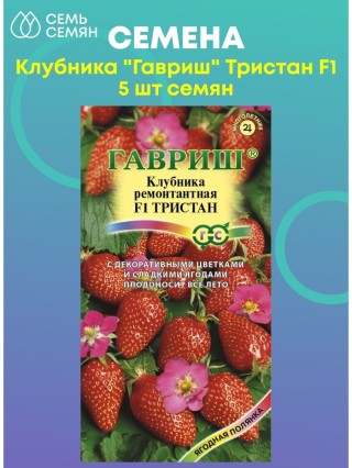 Клубника тристан