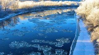 Весенние воды