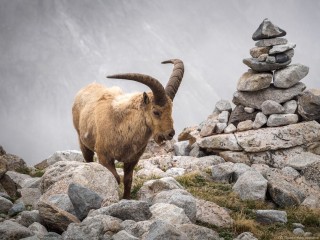 Кавказский тур