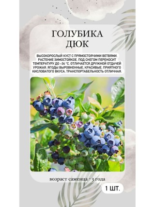 Садовые ягоды