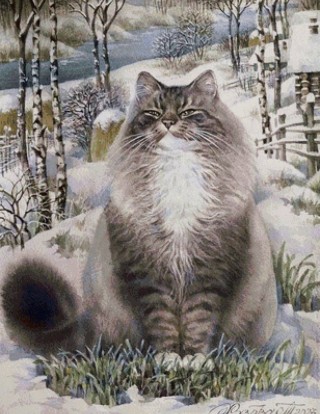 Флопа кот