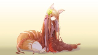 Ушки лисы