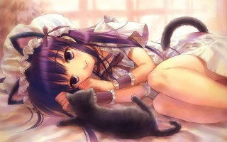 Аниме девушки кошки