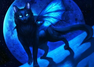 Кот демон