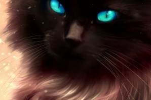 Тёмный кот