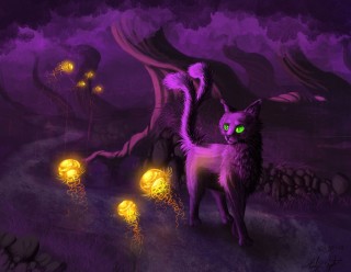 Магические коты