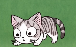 Котик Чии