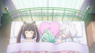 Некопара какао