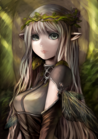 Аниме фэнтези эльфы