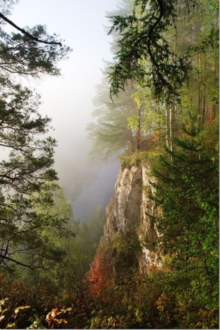 Уральский лес