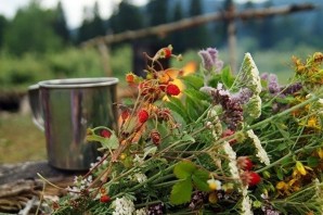 Лекарственные растения