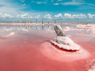 Розовое озеро в Крыму Сасык Сиваш