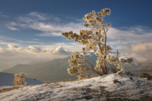 Крым зимой