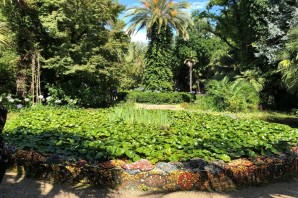 Сухумский Ботанический сад