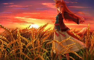 Аниме девушка в поле