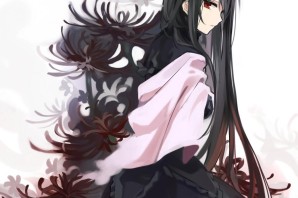 Акеми Хомура арт