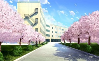 Аниме школа Сакура