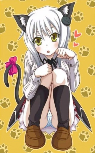 Аниме Конеко тодзё