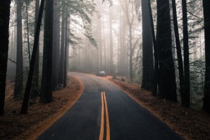 Пустая дорога в лесу