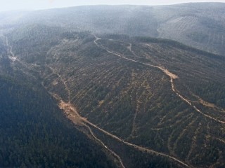 Вырубка леса в Сибири со спутника