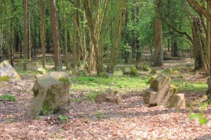 Кладбище в лесу