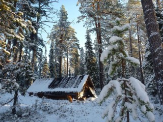 Изба в лесу зимой